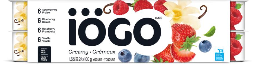 Iogo Creamy Yogurt Variety Pack, 24 x 100g