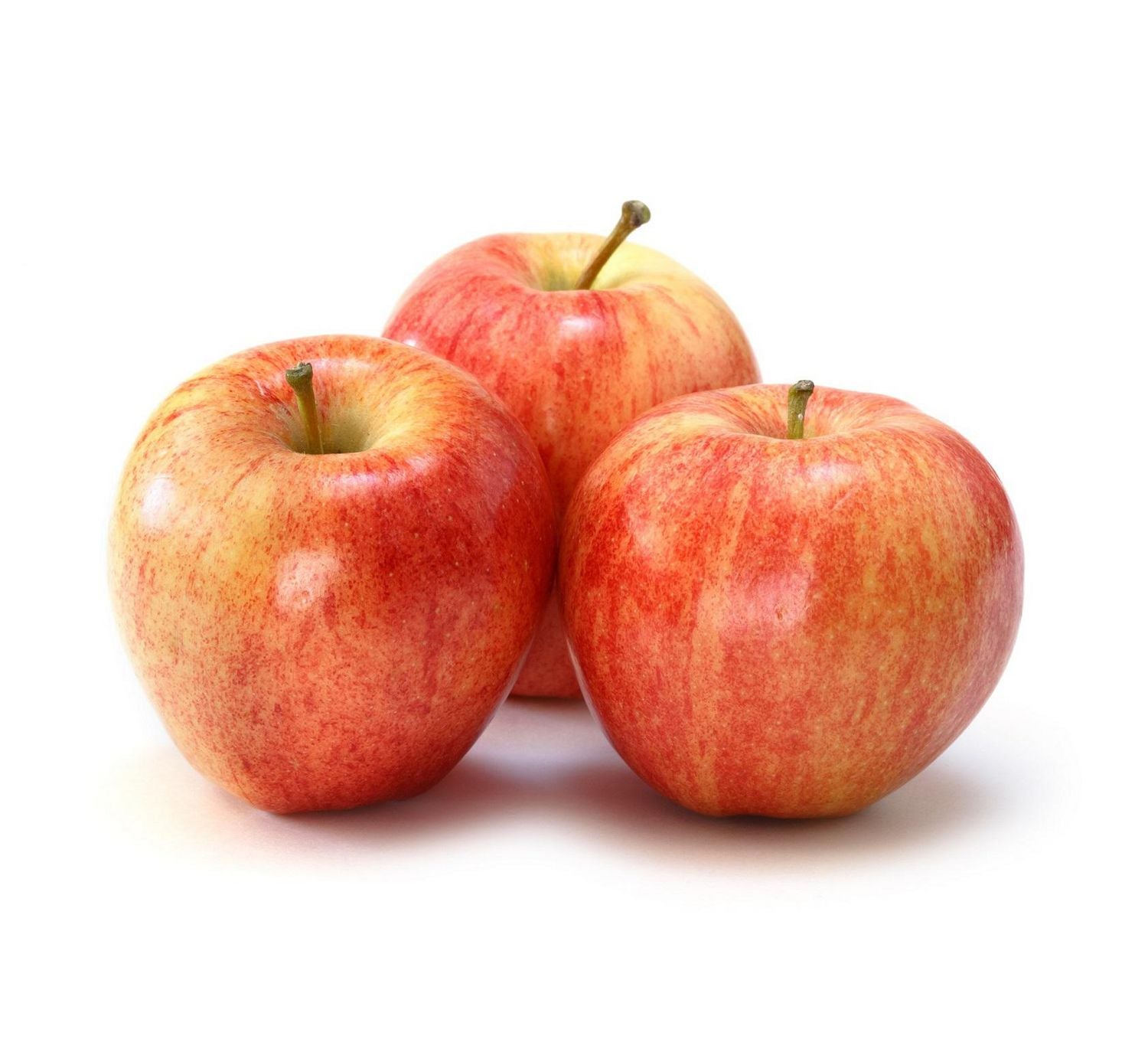 Apples, Gala, 16 pk