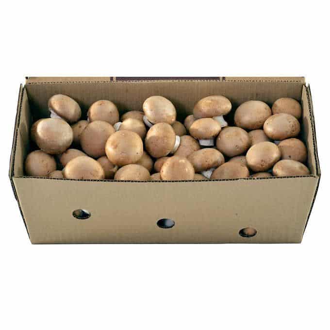 Mushrooms, Whole Mini Bellas 680gm - Preorder