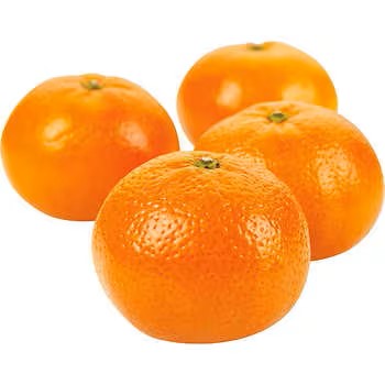 Oranges, 5 lbs-Preorder