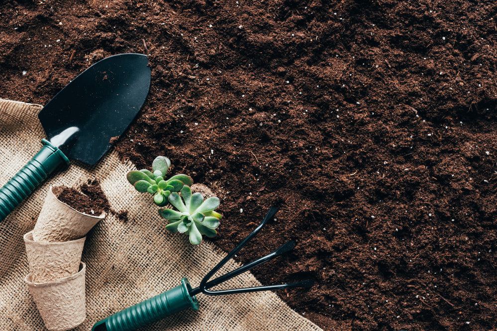 Landscaping Top Soil, Bag