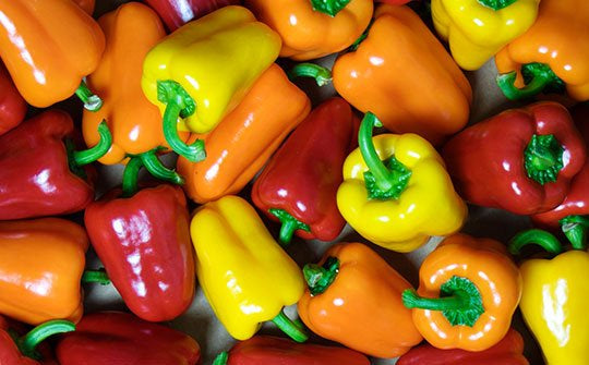 Bella Sweet Mini Peppers, 1.5 lb - Preorder